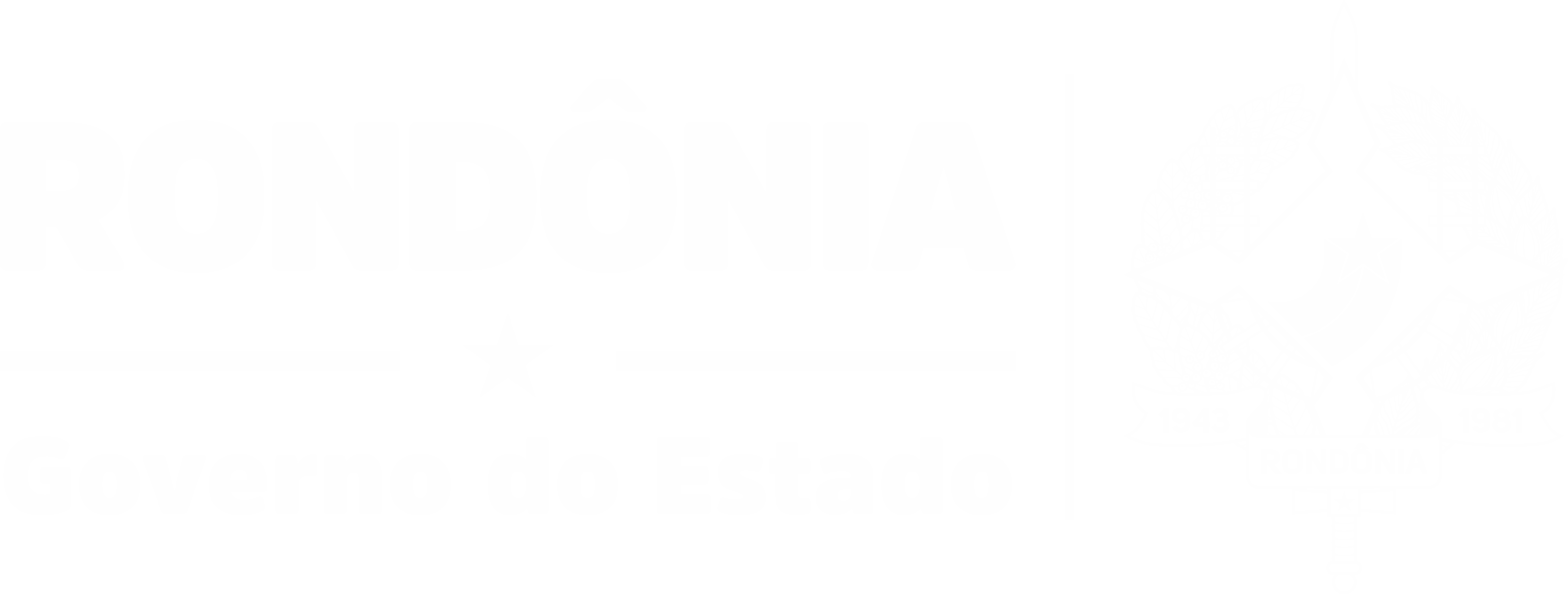 Governo de Rondônia